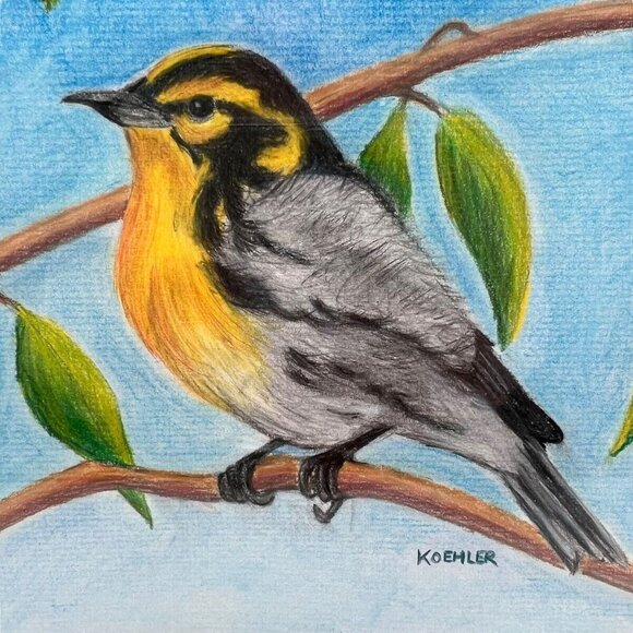 Original Drawing Warbler Framed Matted Bird Colored Pencil 16 x 13 Signed Koehle - Picture 4 of 6